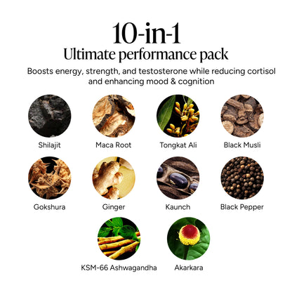 Alpha Boost Gummies — 10-in-1 Shilajit Blend