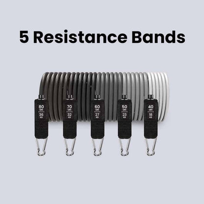 Panthera Bands