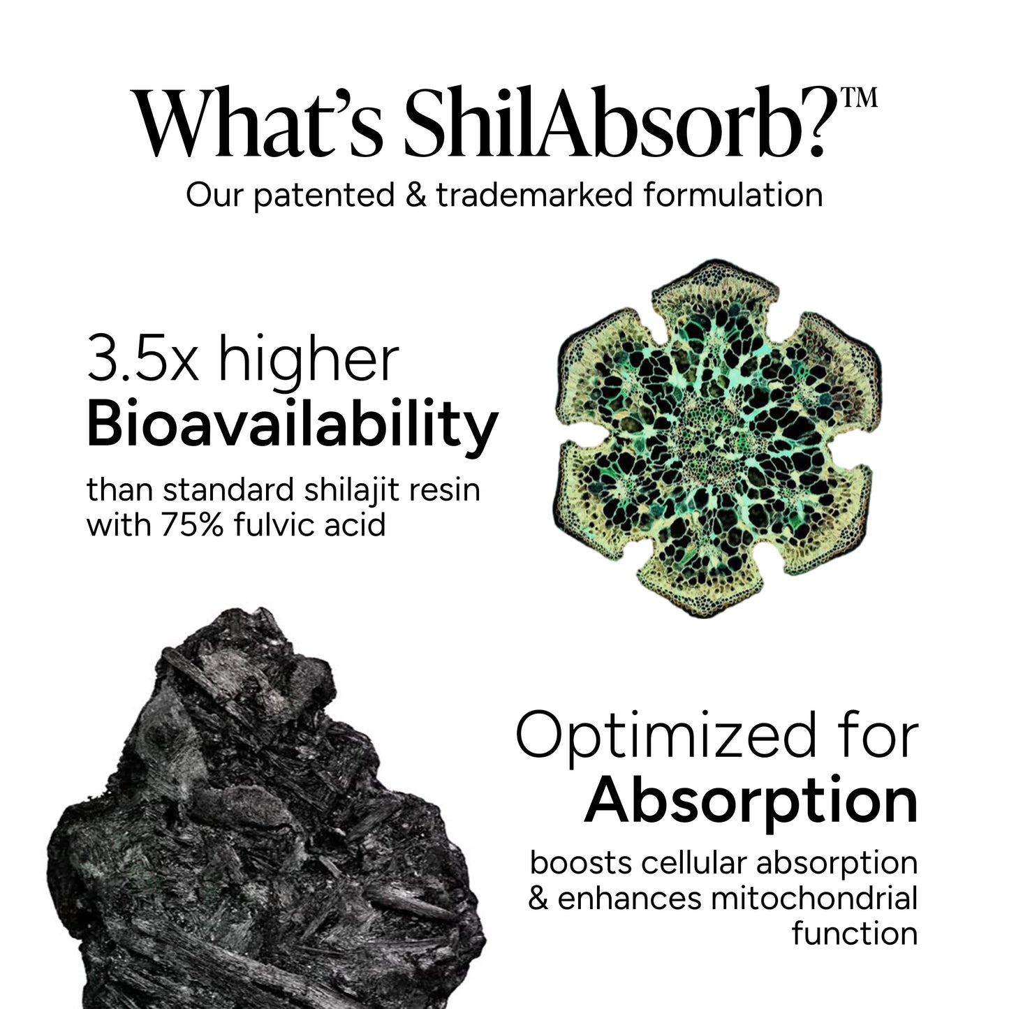 Alpha Boost Gummies — 10-in-1 Shilajit Blend