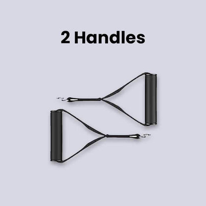 Panthera Bands